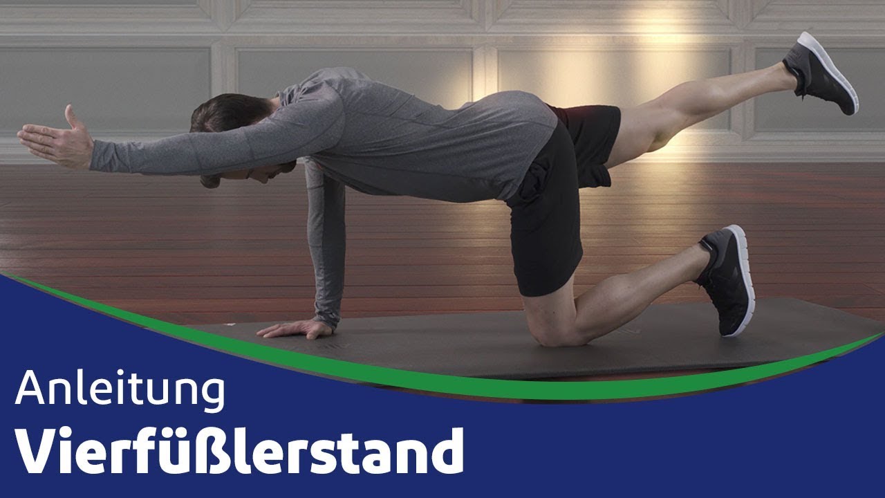 Vierfüßlerstand - Anleitung