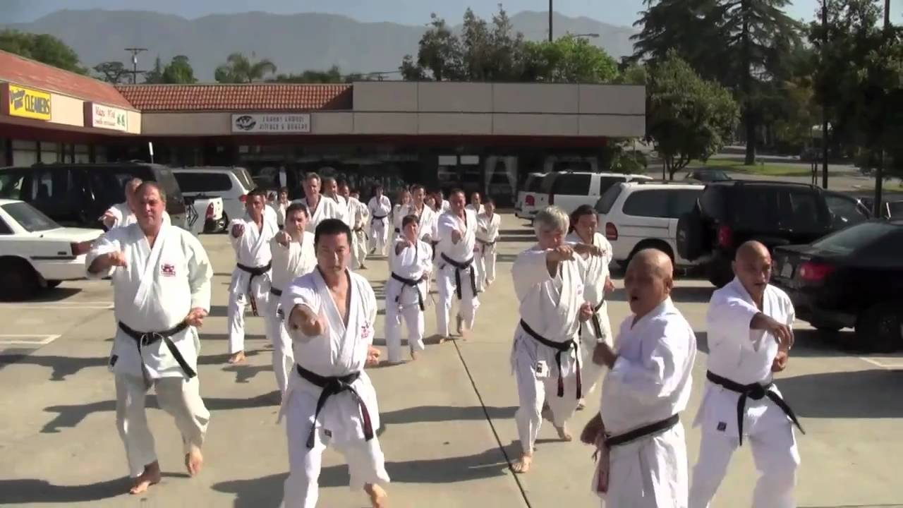 International Karate Association - January 2011