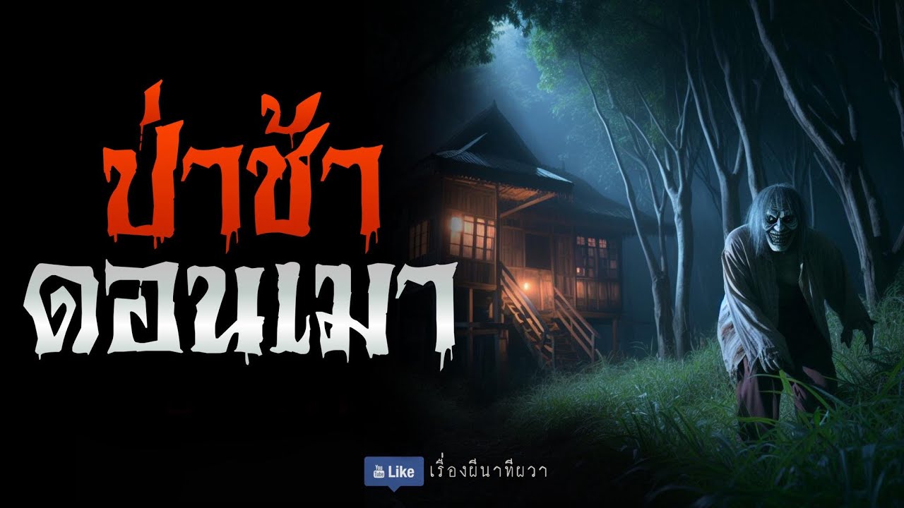 ผีสามเกลอ ป่าช้าดอนเมา  (รีรันจบในตอน) | ล้อมวง เล่าเรื่องผี ฟังยาวๆ
