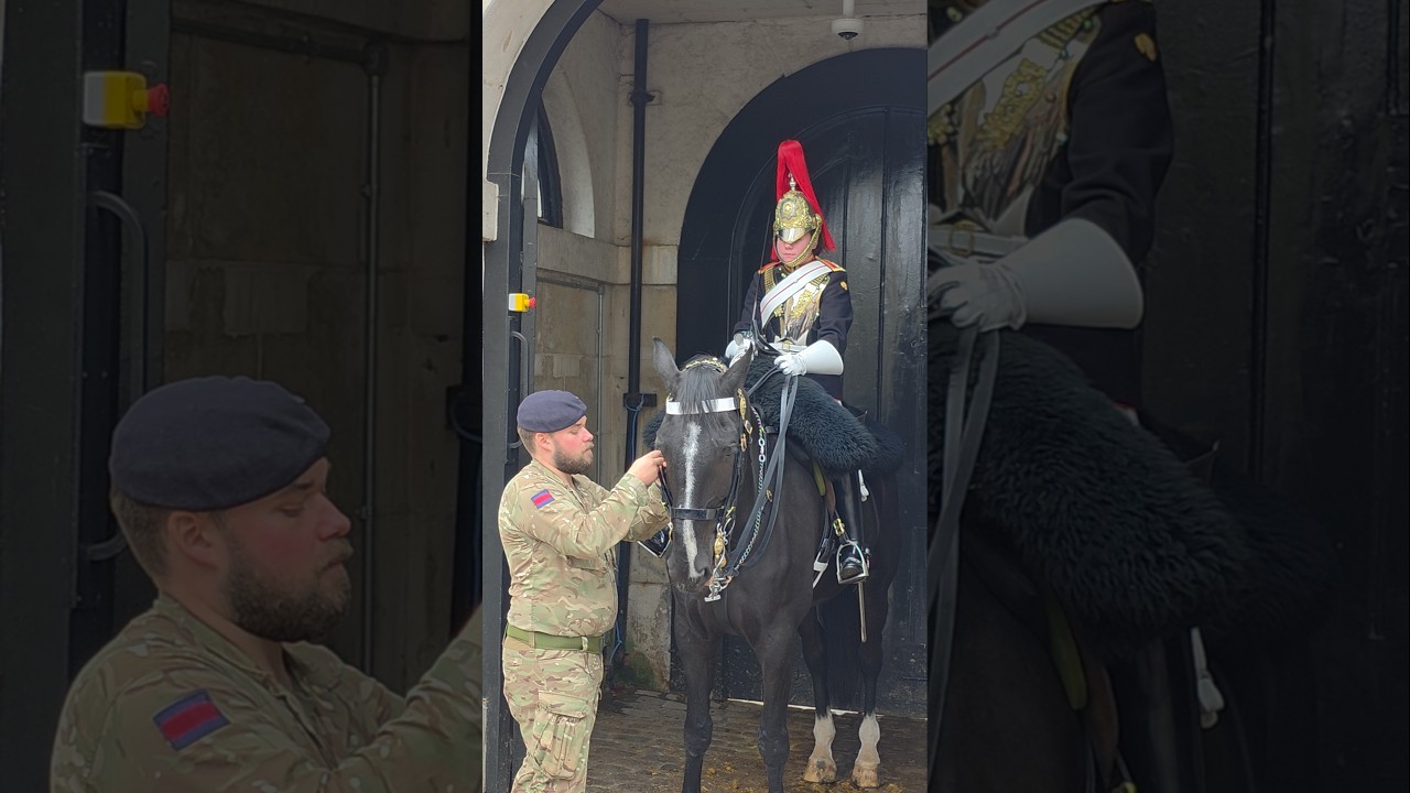 Gentle Care — The King’s Guard Makes Sure His Horse Feels Safe and Comfortable 🐴❤️👑