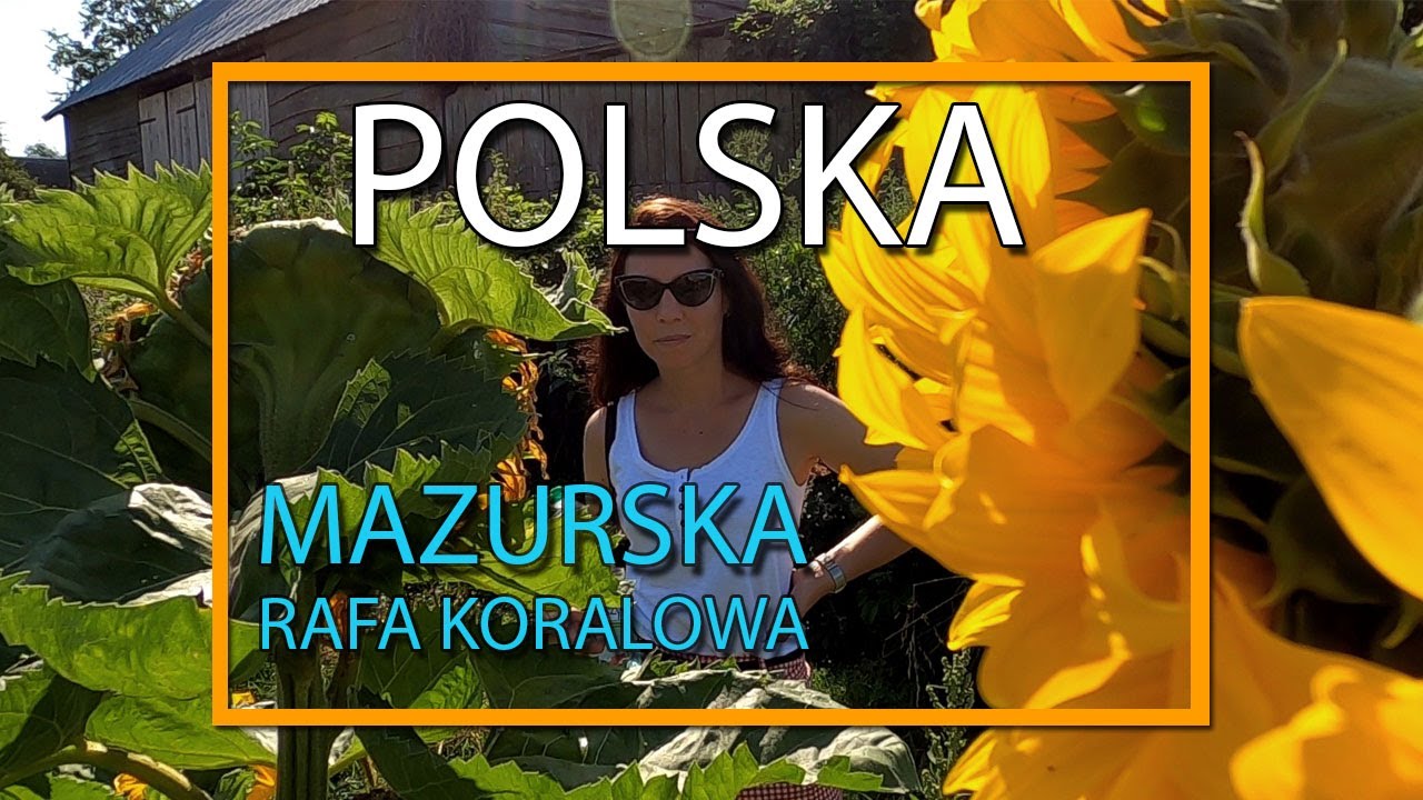 EŁK TU WRACAM - MAZURSKA RAFA KORALOWA