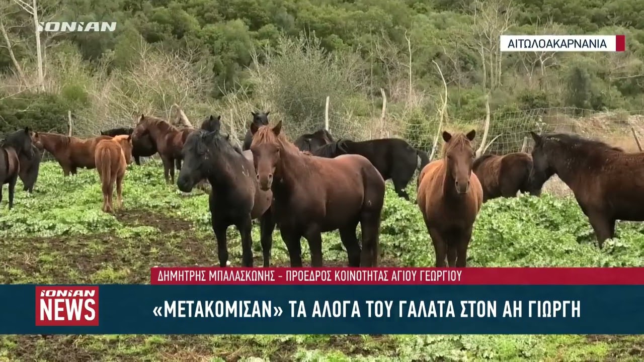 Αιτωλοακαρνανία | 