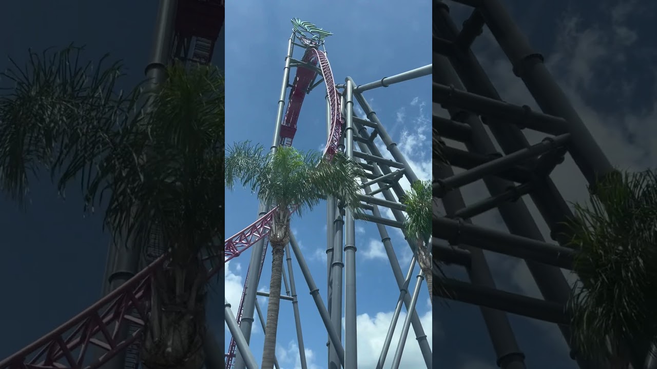 One of the best first drops in the world? #rollercoaster #firstdrop