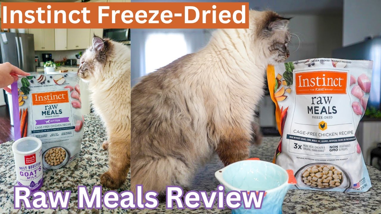 Instinct Raw Meals (Chicken Recipe) Freeze-Dried Cat Food Review (AFTER OVER 1 YEAR OF USE)