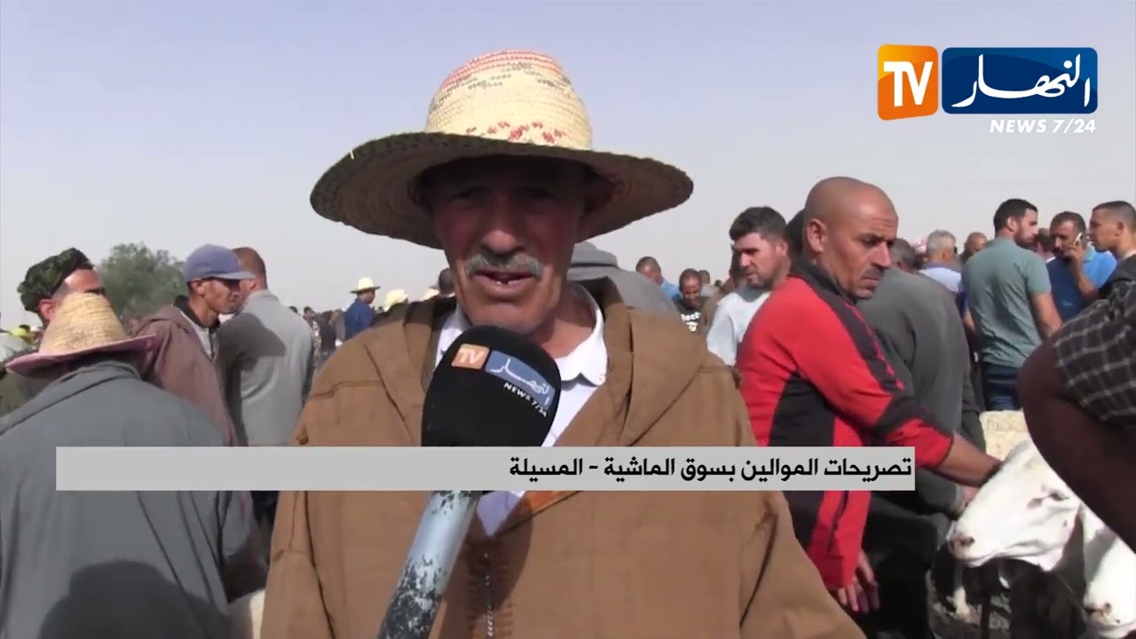 المسيلة / أضاحي العيد لمن استطاع إليها سبيلا .. مواطنون مستاؤون والموالون يبررون
