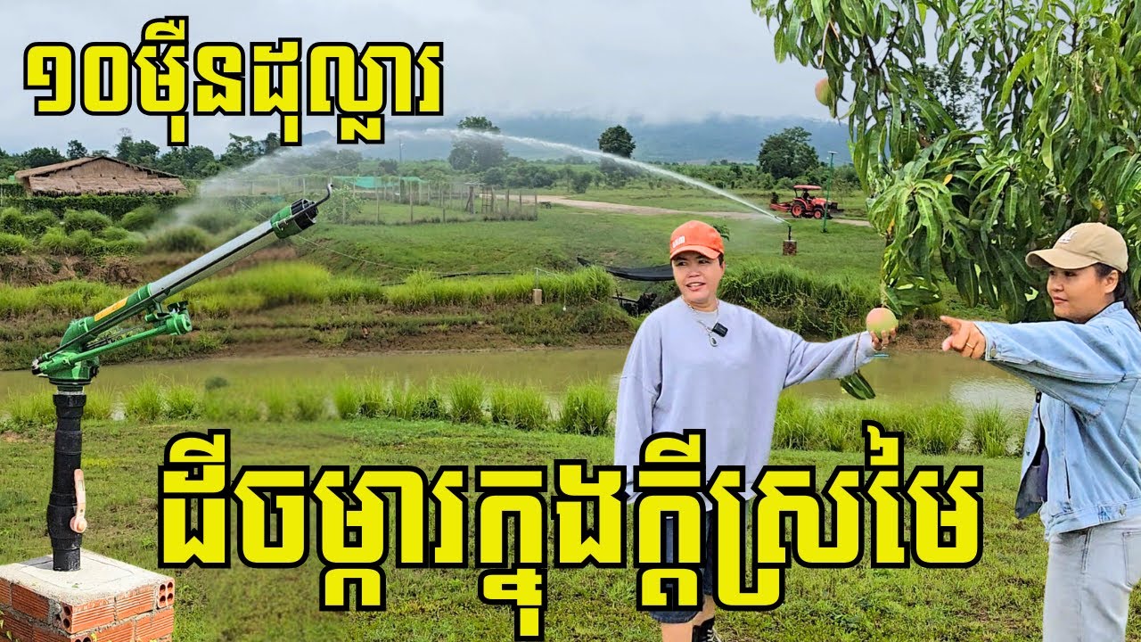 ចាយទុនជាង១០ម៉ឹនដុល្លារ រៀបចំដីចម្ការក្នុងក្ដីស្រមៃ មានសព្វគ្រប់ ផ្ទះ ឃ្លាំង សត្វចិញ្ចឹម ដំណាំចម្រុះ