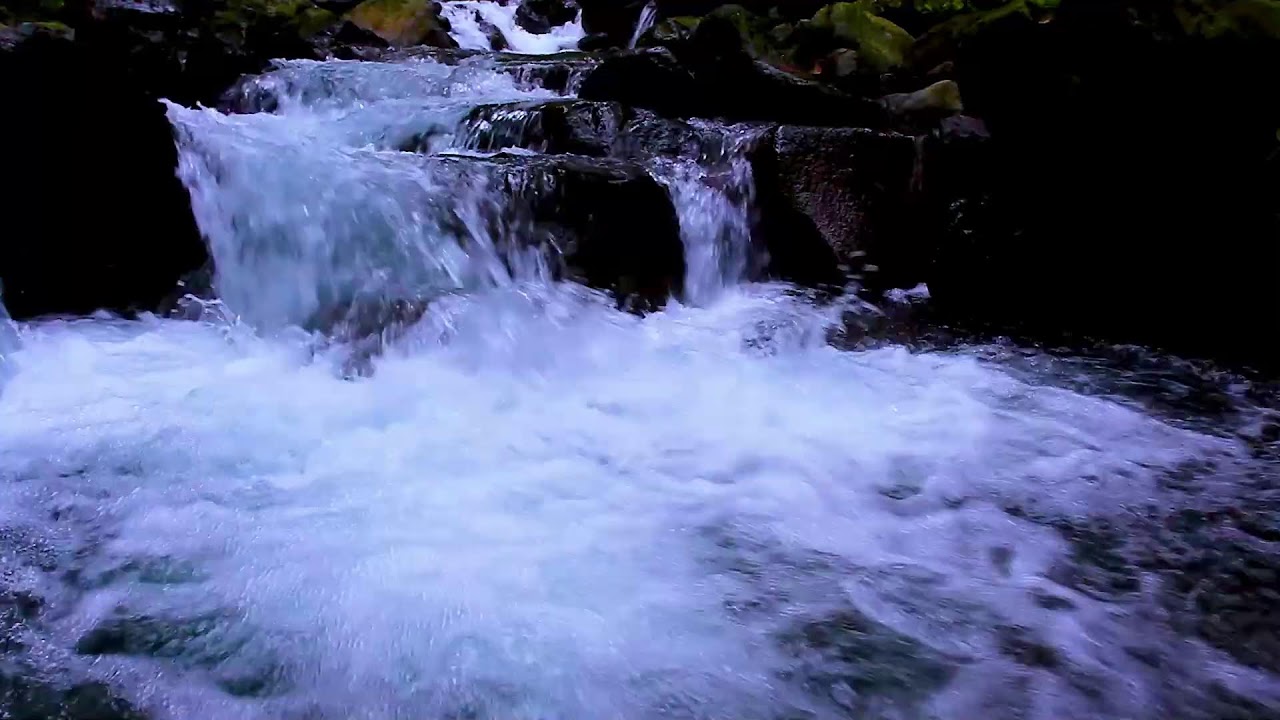 Relaxing Forest River at Night | Continuous Water White Noise for Sleeping