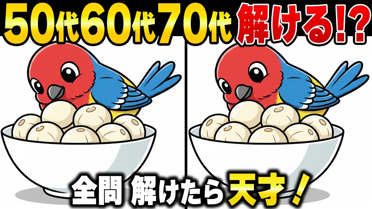 全問正解は1％？50歳から衰えがちな注意力を鍛え直すシニアのための高難易度間違い探し｜50代60代70代
