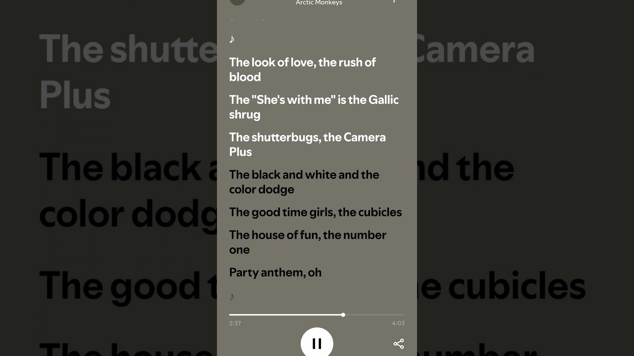 Number 1 Party Anthem -Arctic Monkeys