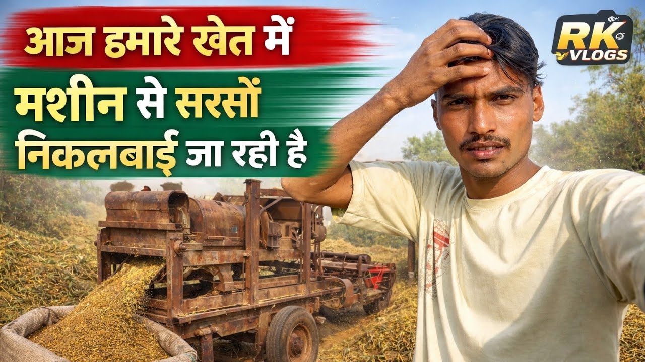 सरसों हम मशीन से निकलवा रहे है) //गांव में सरसों निकालने की नई तकनीक//RK VLOGS