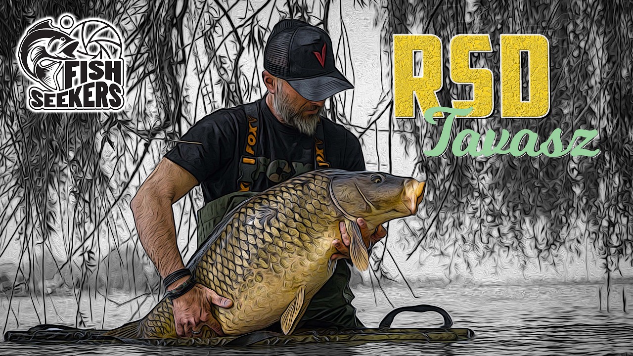TUDSZ róla, DE mégsem ÍGY csinálod! - RSD - Tavasz - 2. rész