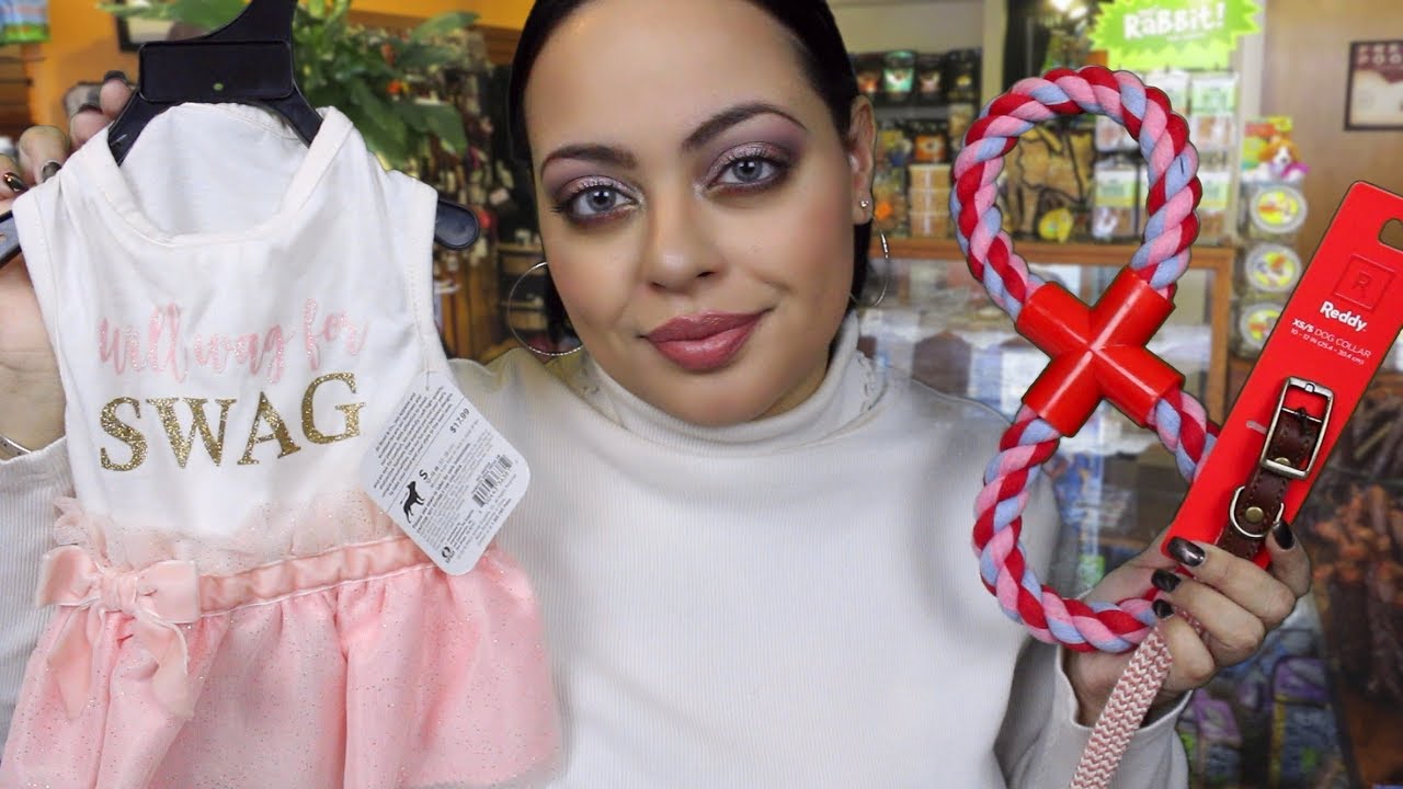 ASMR| Pet Store Assistance Roleplay
