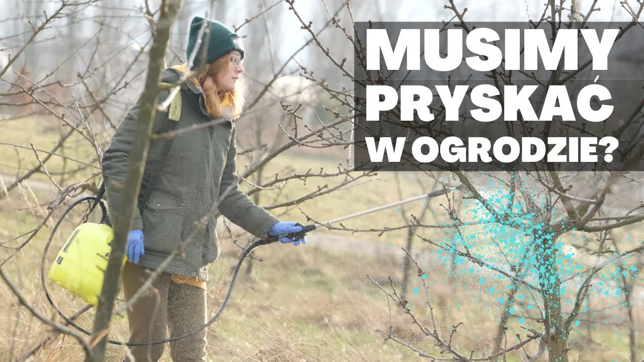 TRZEBA pryskać w ogrodzie? Jak naturalnie i chemicznie chronić drzewa przed chorobami i szkodnikami