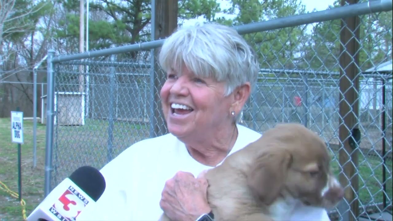 Stop animal abuse law