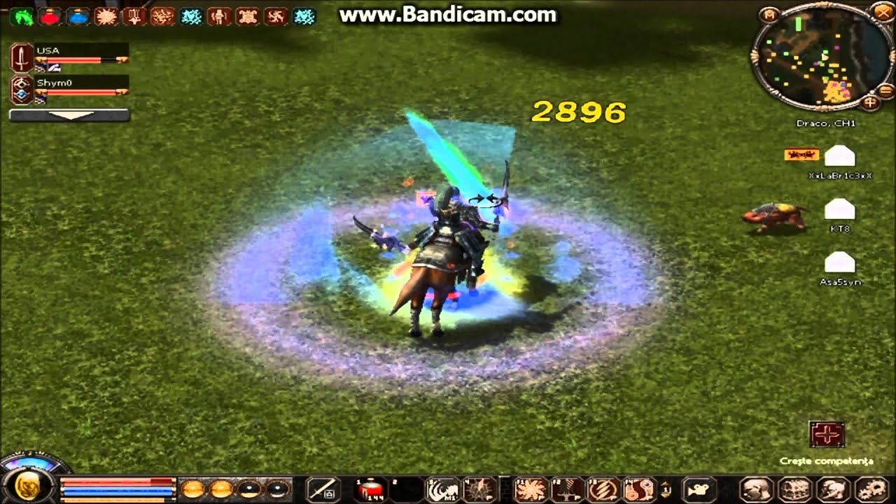 Metin2 Ro Draco USA Vs Rosii