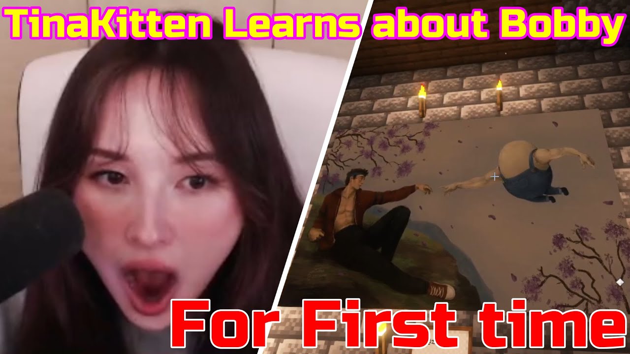 Jaiden Revisits all Bobby's Memories with TinaKitten on QSMP Minecraft