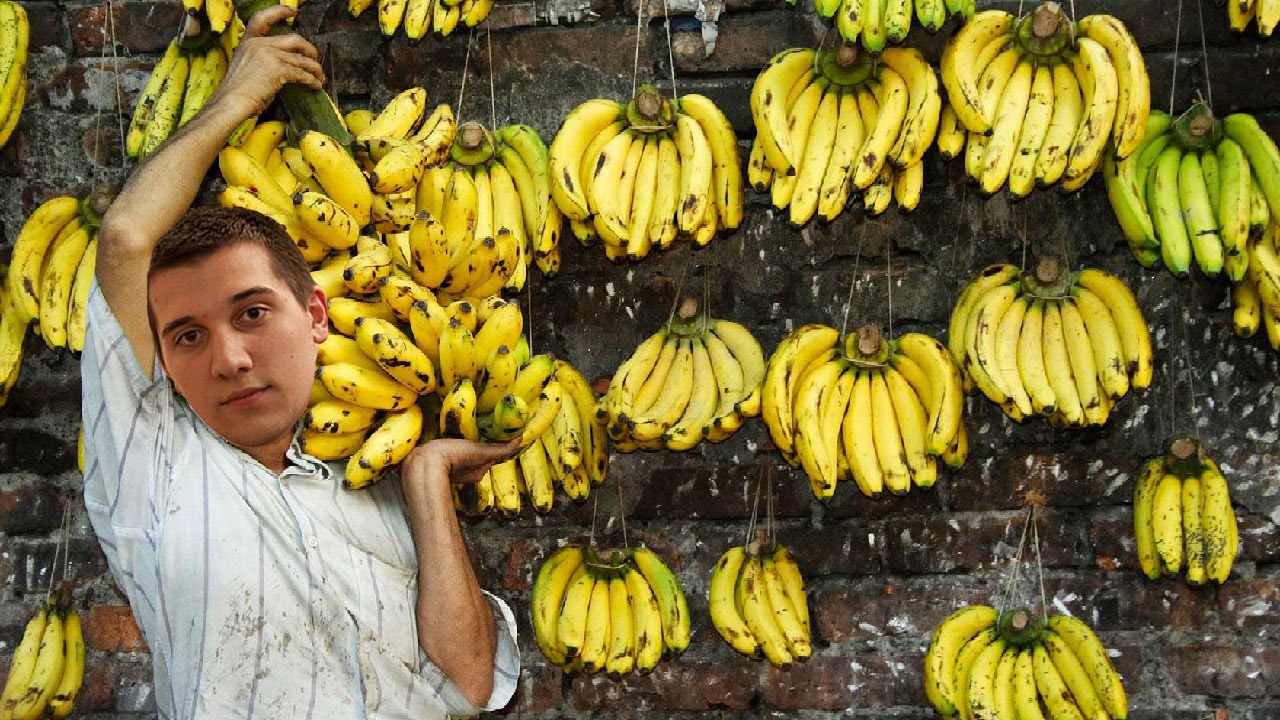Dota 2: Arteezy - Arteezy the Banana Dealer