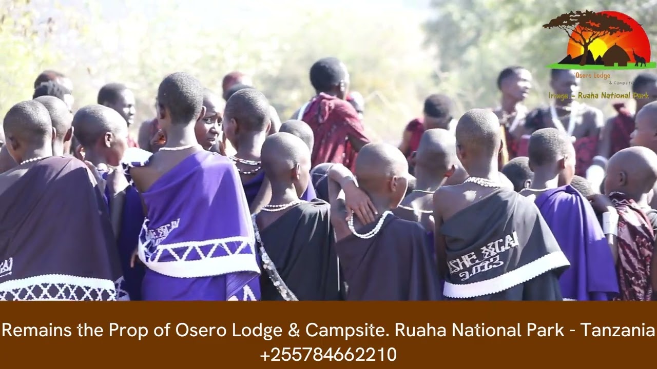 Ep 3.4 2024 OLC Maasai Circumcision ceremony