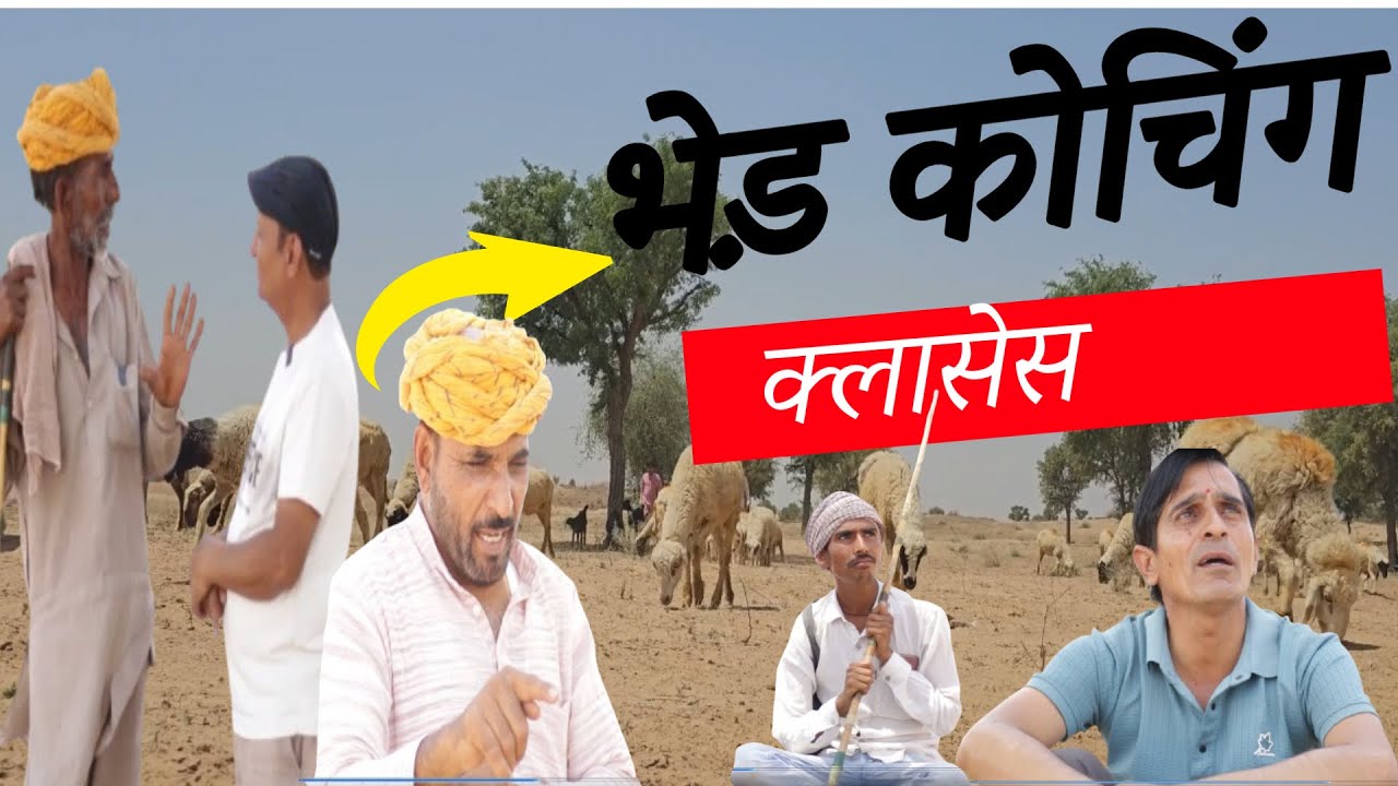 भेड़ कोचिंग क्लासेस | Rajasthani Haryanvi Comedy | Murari Lal | comedy Video | New comedy