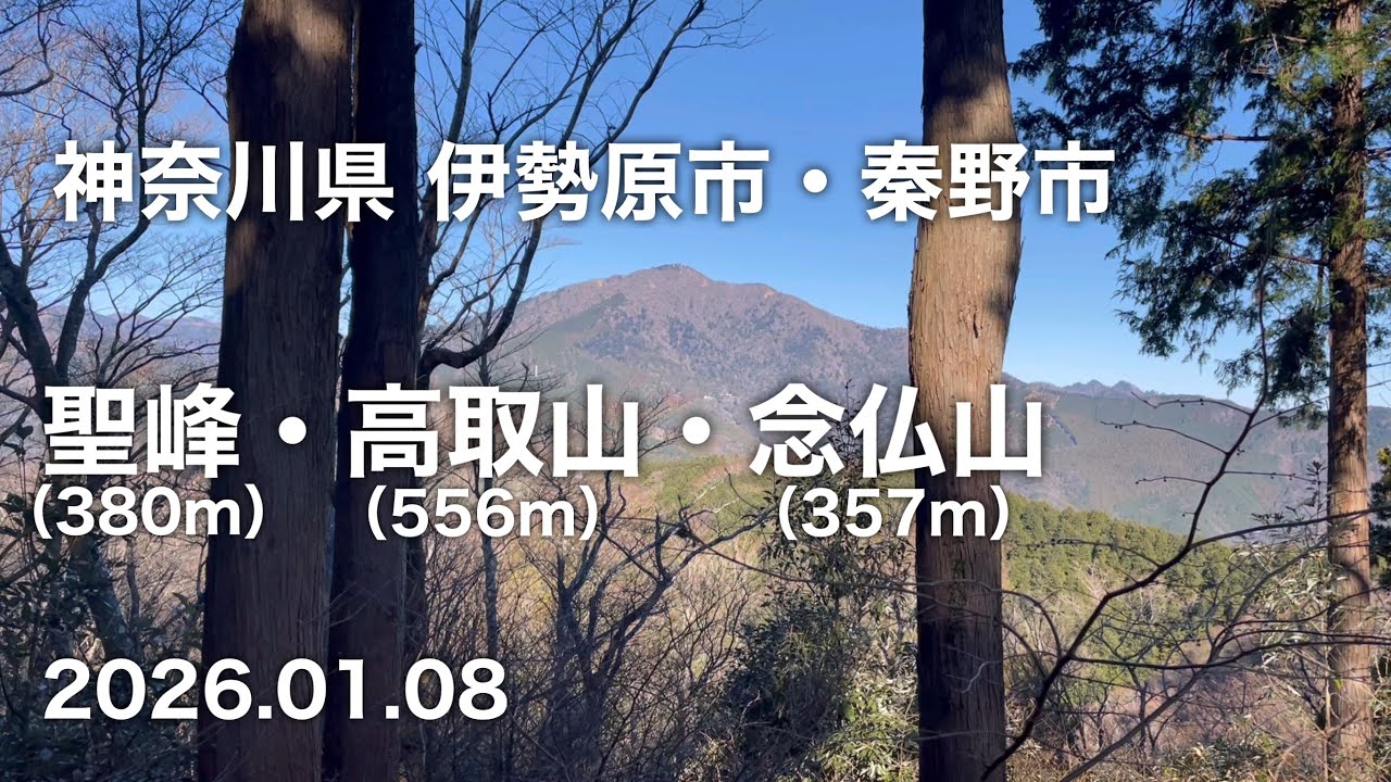【ハイキング】 神奈川県伊勢原市・秦野市 聖峰・高取山・念仏山 2026.01.08