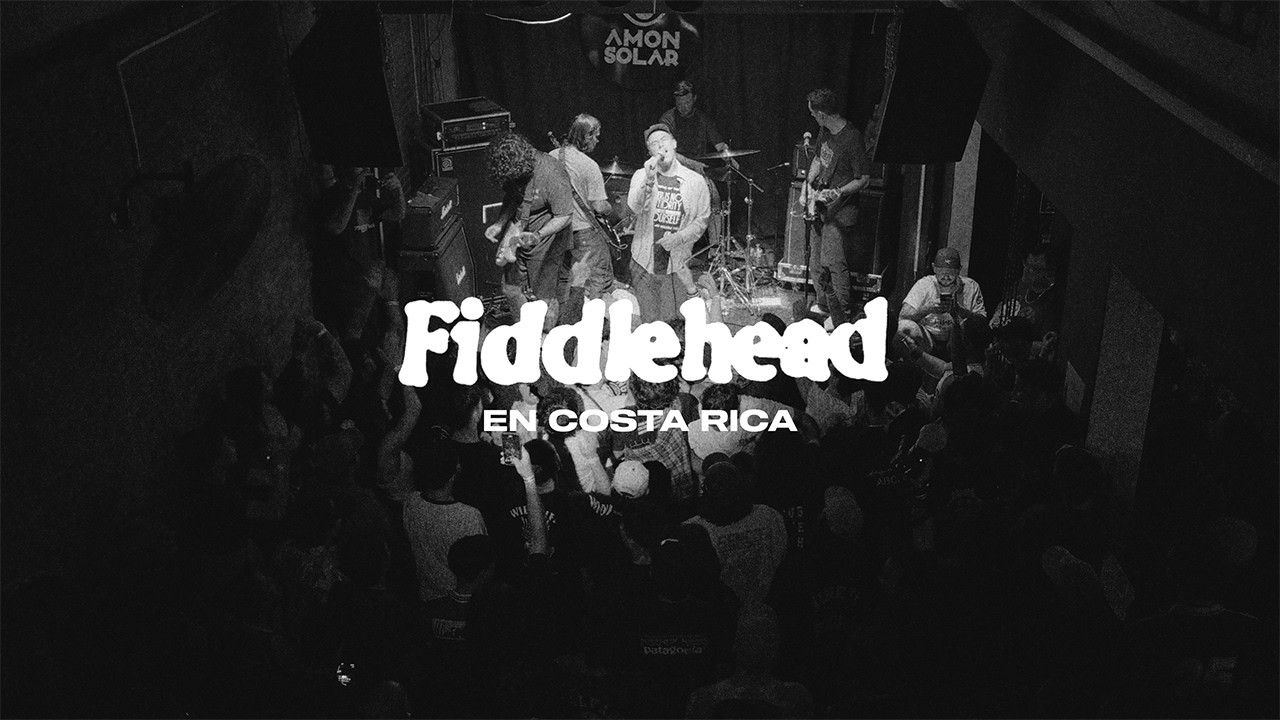 FIDDLEHEAD EN COSTA RICA - [FULL SET 15/2/26]