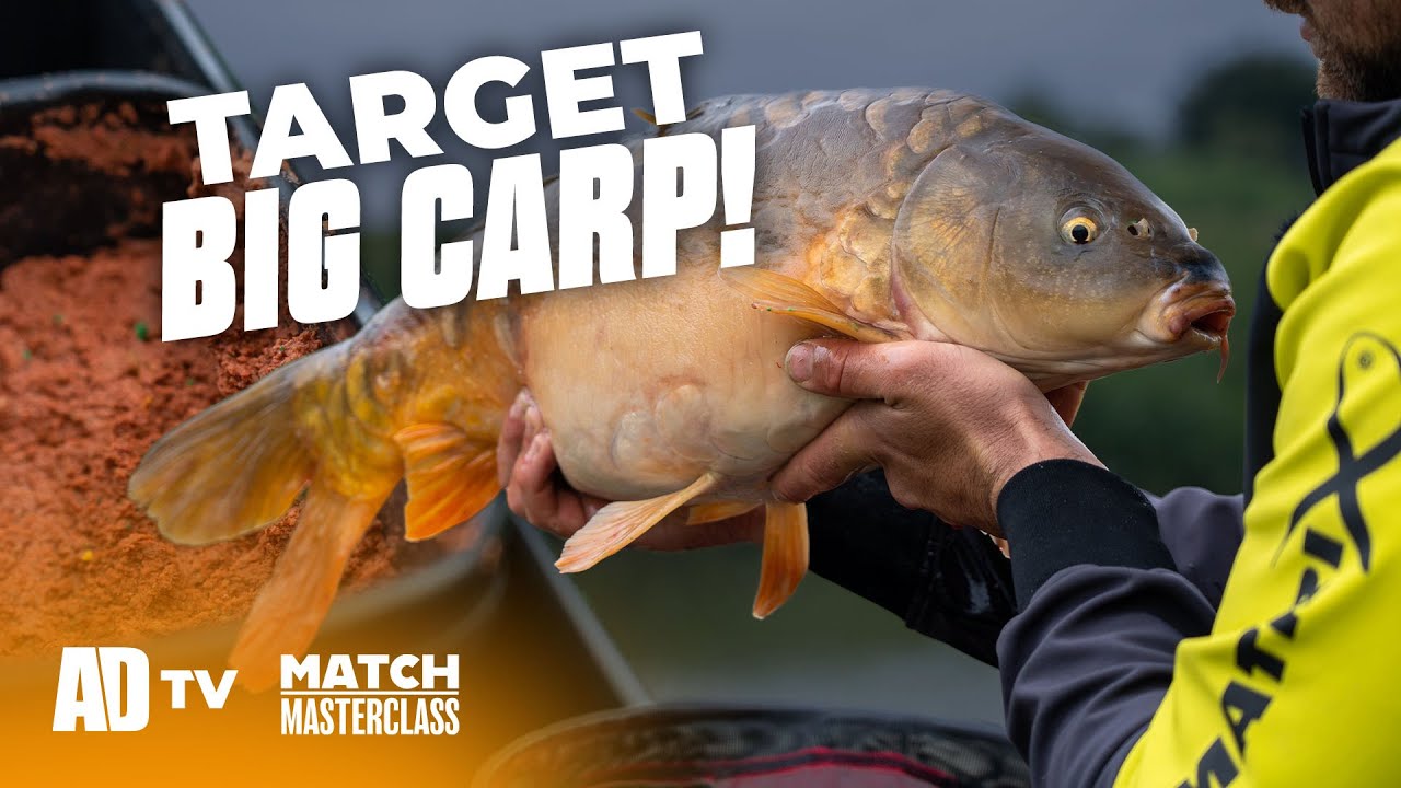 Paste Fishing for Big Carp – Match Masterclass