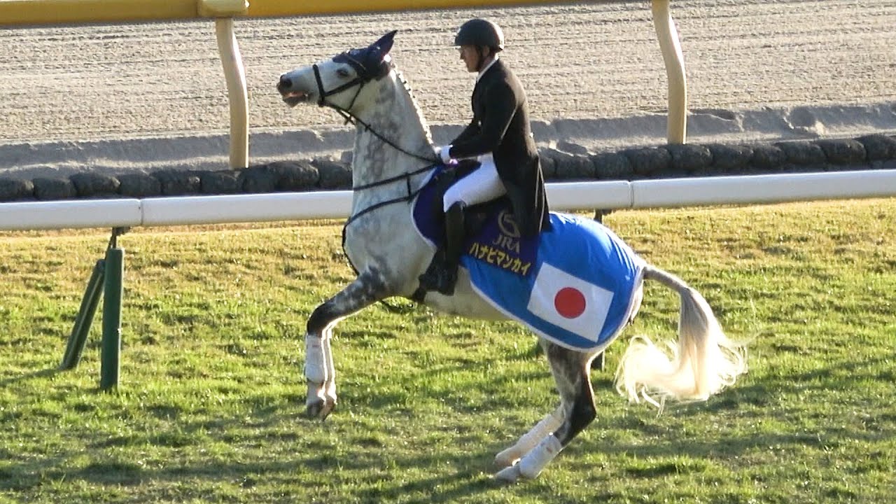 【ジャパンカップ2025】本馬場入場時に誘導馬のハナビマンカイ 観客の拍手でスイッチが入る 現地映像 カランダガン