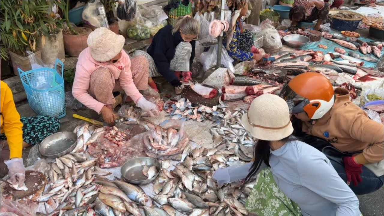 ផ្សារកំពង់ឆ្នាំង សំបូរ ត្រី / Kampong Chhnang Market , Cambodia 
