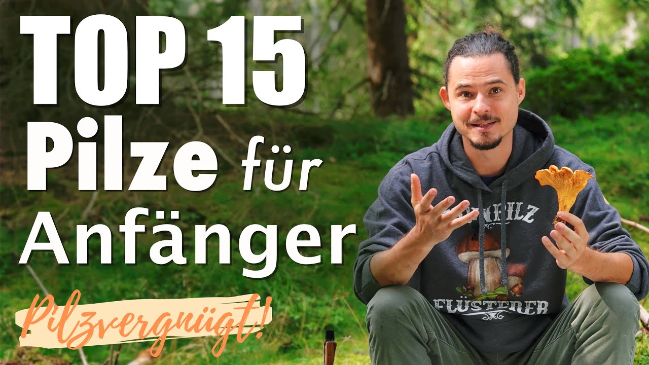 Die BESTEN Speisepilze abseits von Steinpilz, Pfifferling und Parasol 🤩 Top 15 Pilze f&uuml;r Anf&auml;nger 🍀