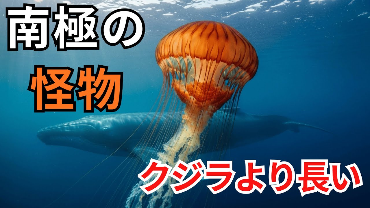 【衝撃】なぜ南極の海は「巨大な怪物」を生み出すのか？