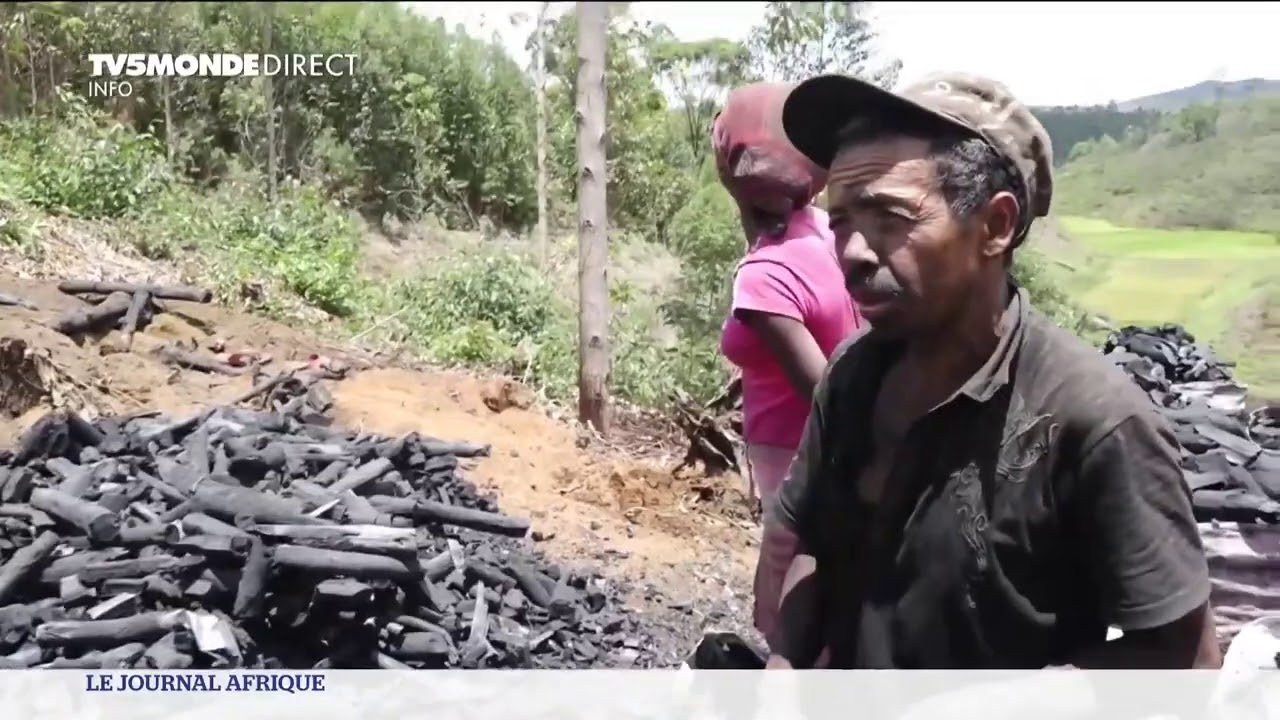 Madagascar : les forêts en danger
