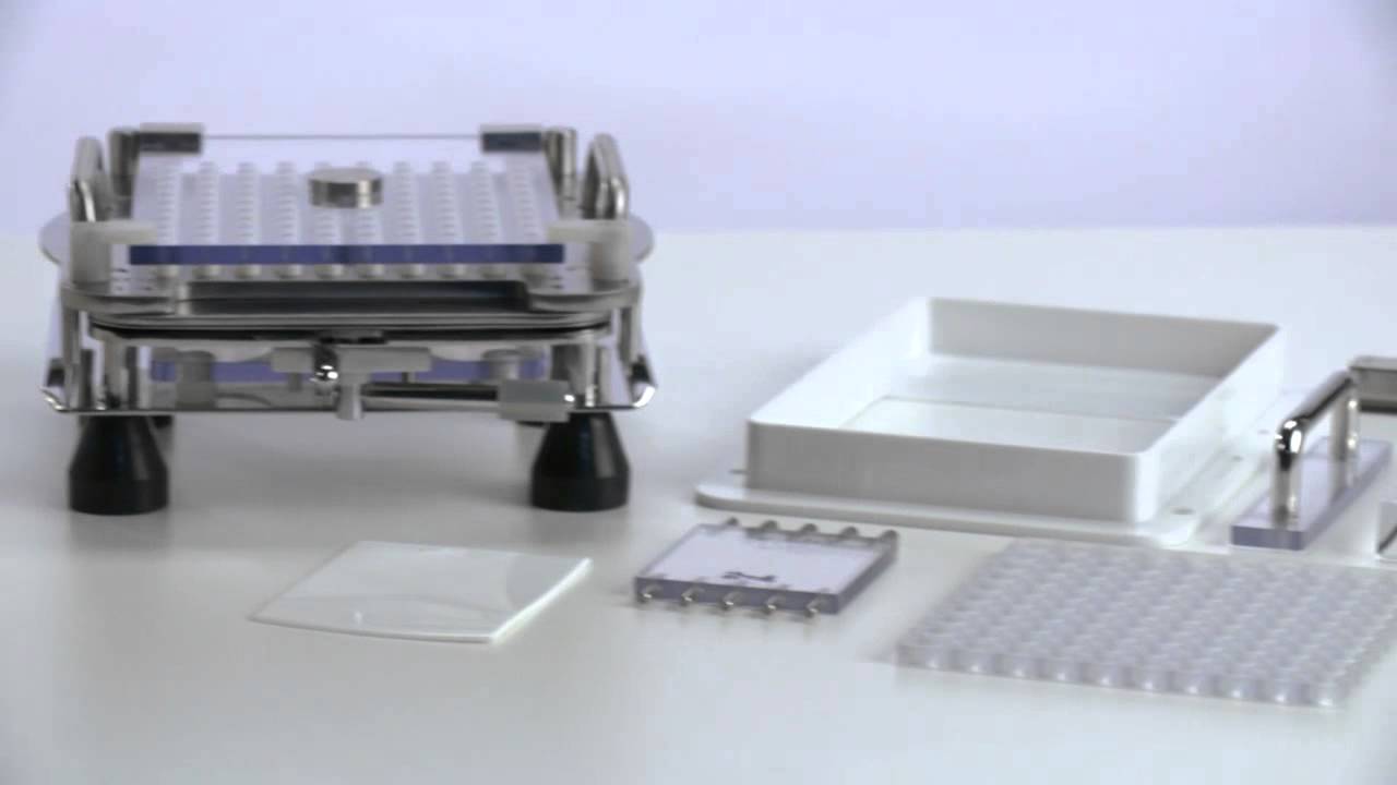 Capsicards® System - Introduction video