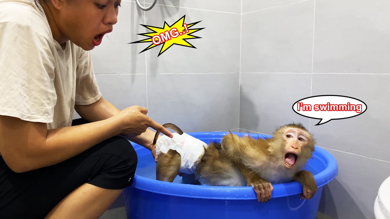Monkey Lyly is independent and the ending of forgetting to take off her diaper when bathing...