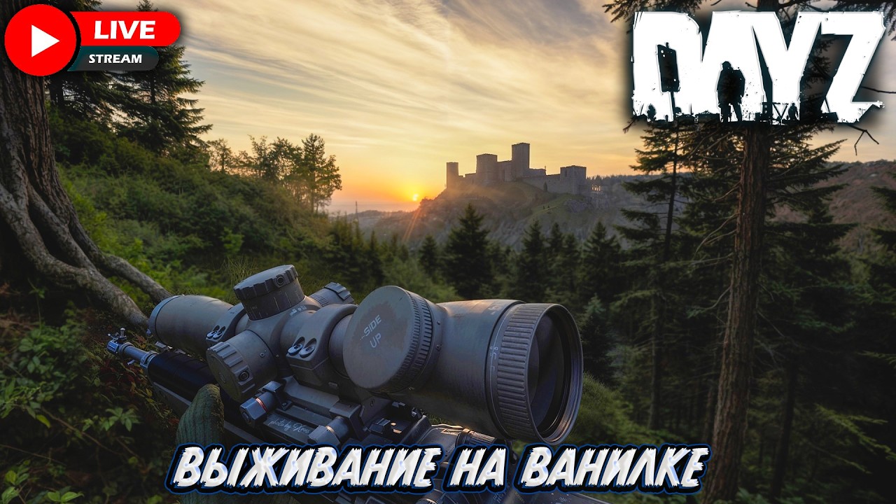ВЫЖИВАЮ В СОЛО НА ВАНИЛЬНОМ СЕРВЕРЕ В DAYZ 1PP