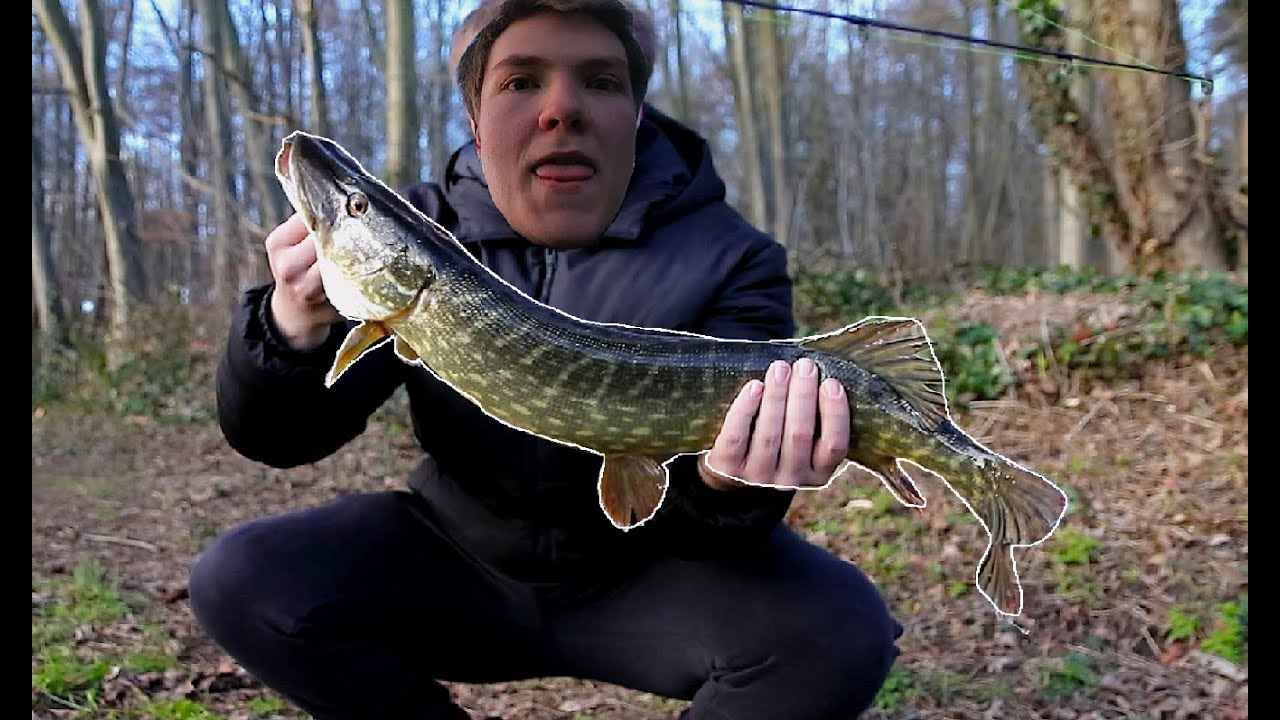 Catching my first ever pike! Canal fishing uk