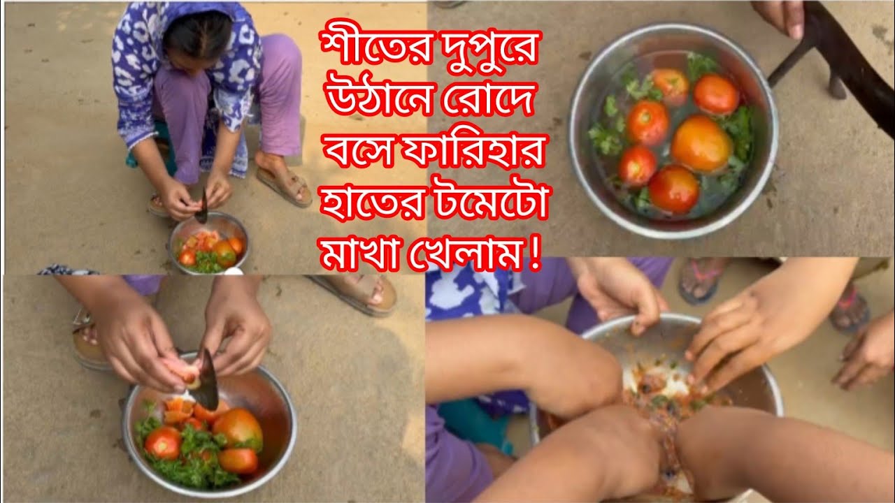 শীতে উঠানে রোদে বসে ফারিহার হাতের জিহ্বে পানি আসা টমেটো মাখা খেলাম|#villagelife #vlog #video #viral 