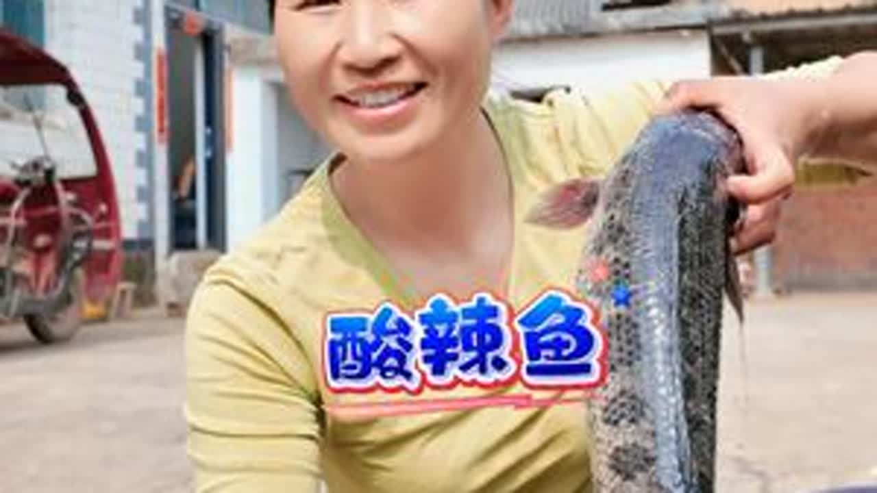 农村酸辣鱼，最土味的做法...你们做火锅鱼喜欢用料包吗？ 我们家不喜欢用，只喜欢原生态的做法...#农村美食 #家乡的味道 #乡村守护人 #乡村味道 #记录我的农村生活