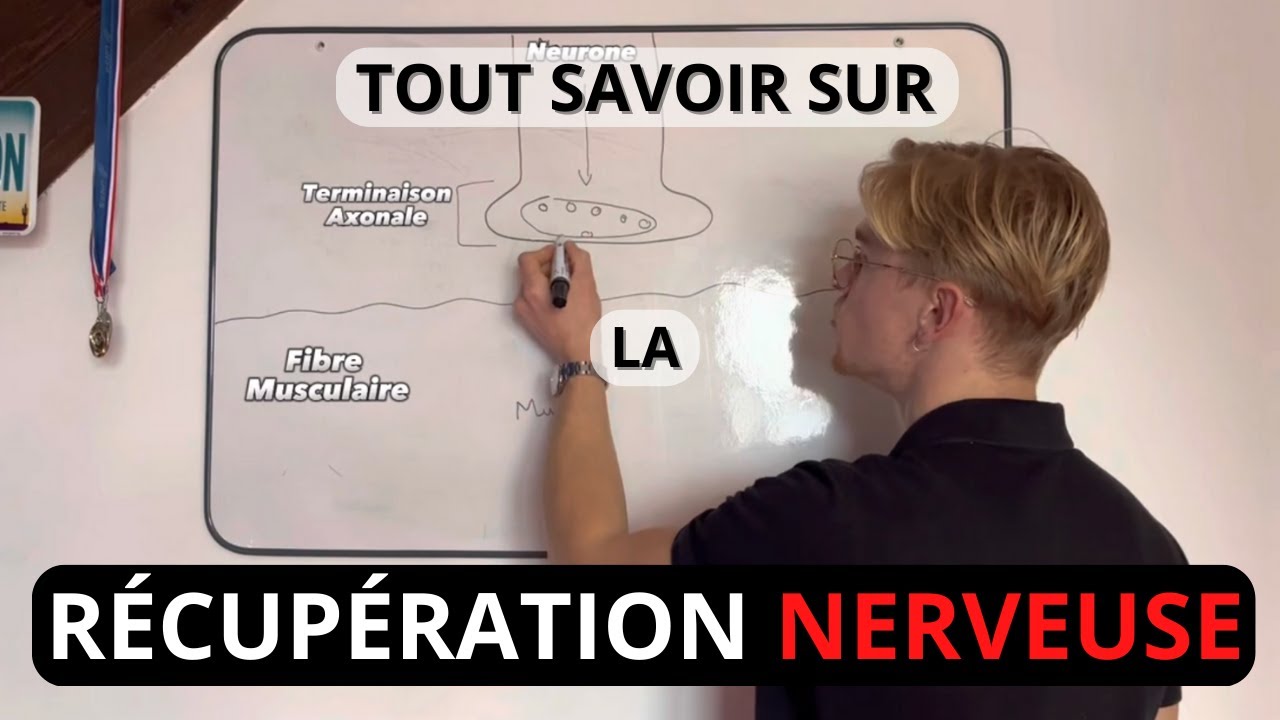 TOUT SAVOIR sur la R&Eacute;CUP&Eacute;RATION NERVEUSE
