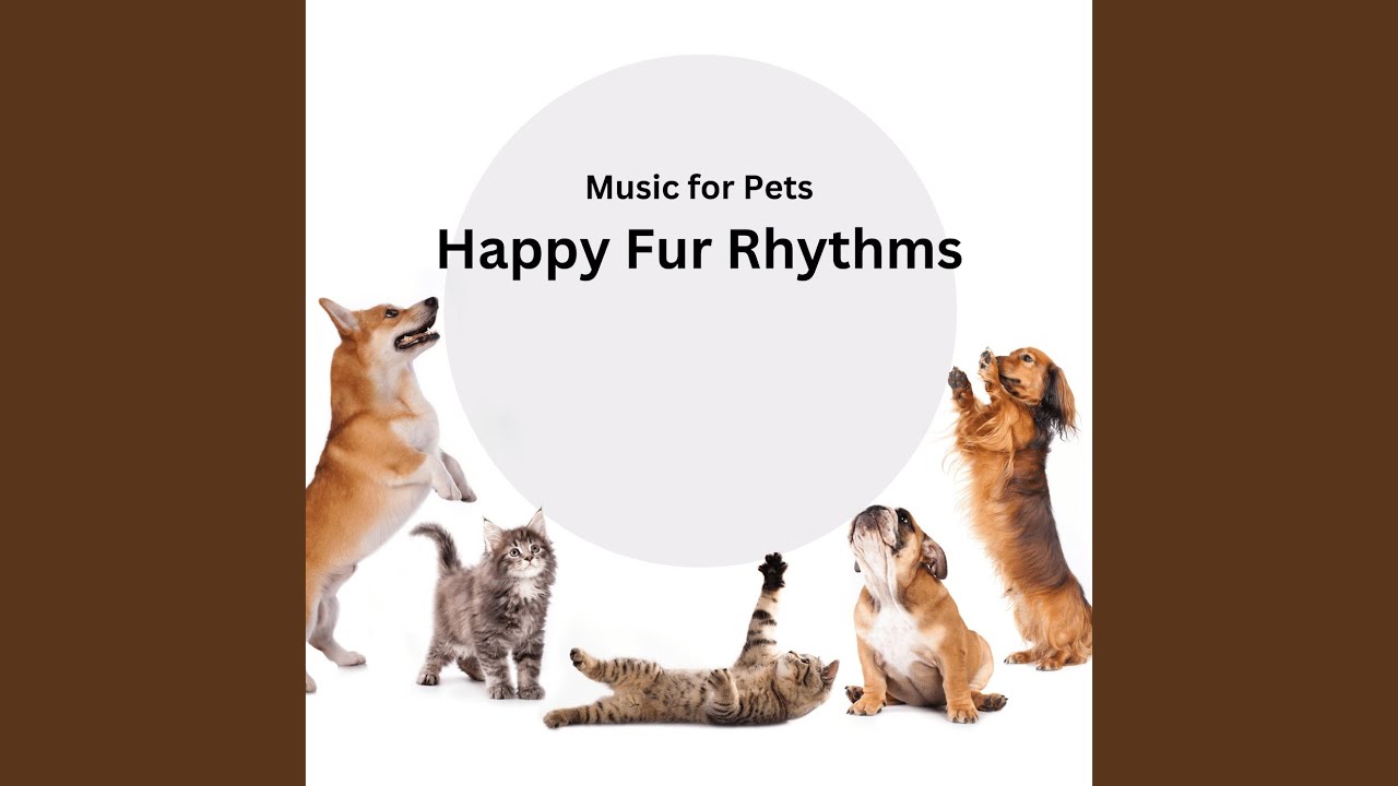Wag to the Beat Music for Pets