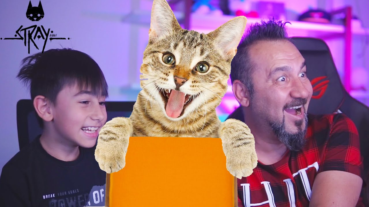 BU KEDİ ÇOK YARAMAZ! BİR KEDİNİN YAPABİLECEĞİ HERŞEY! | PS5 STRAY OYNUYORUZ 3. Bölüm