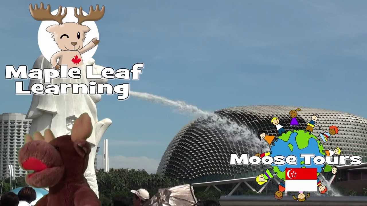 Singapore - Moose Tours