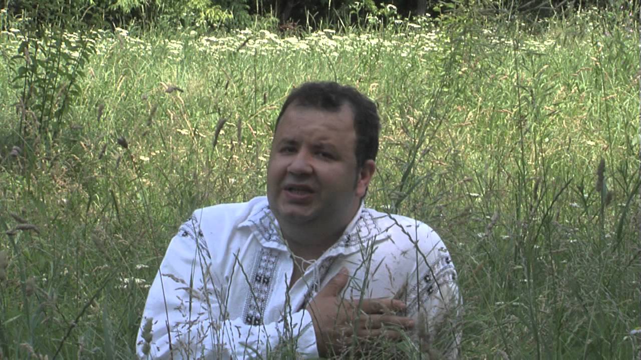 Traian Francu   Zboara cucu de pe o creanga