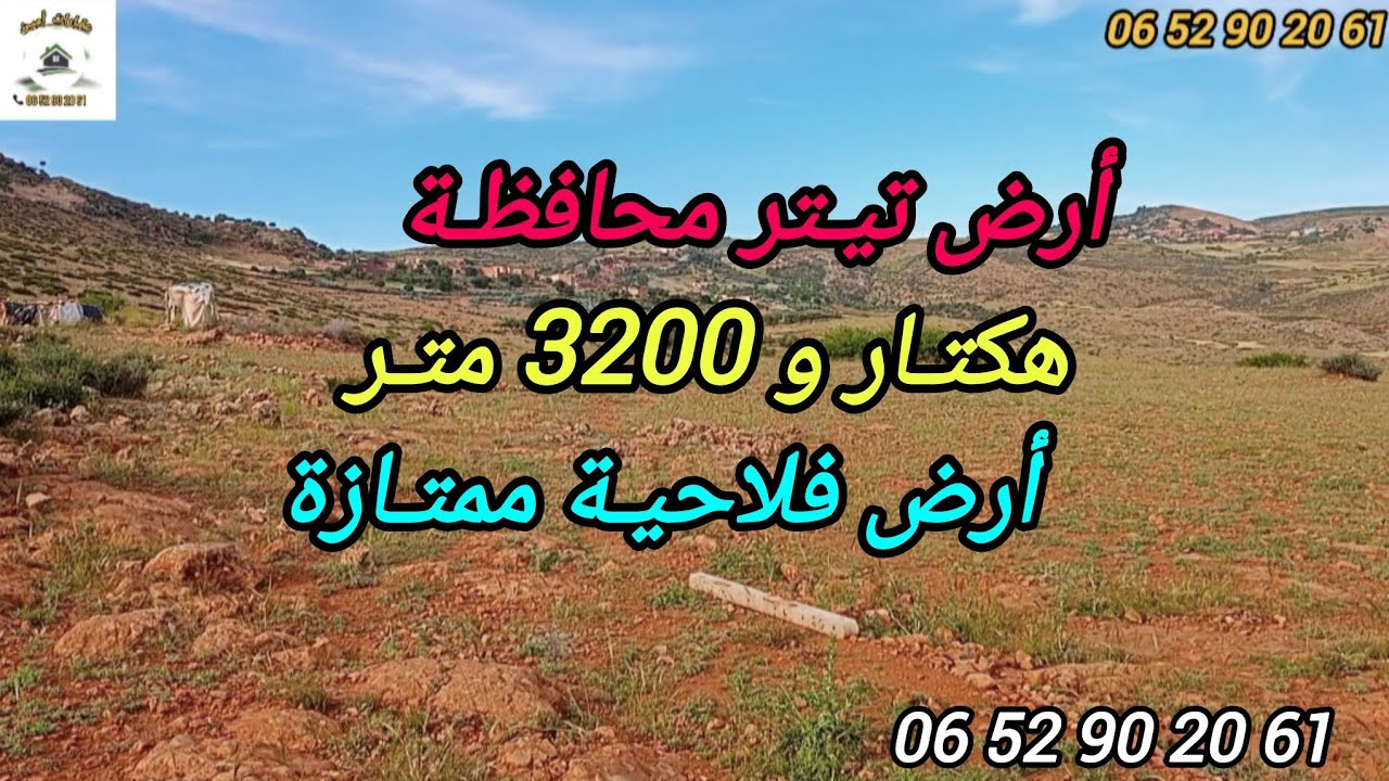 2025-11-11 : هكتار و 3200 متر تيتر محافظة ، جماعة أولاد مكودو ، بثمن 9 مليون . ☎️  0652902061