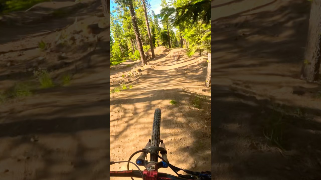 Toyota #67 #mtb #bicycle #amtb #mountainbike #downhill