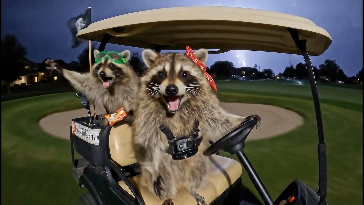 Trash Panda VLOG #2: Night Golf Mayhem &ndash; with Binko & Spud