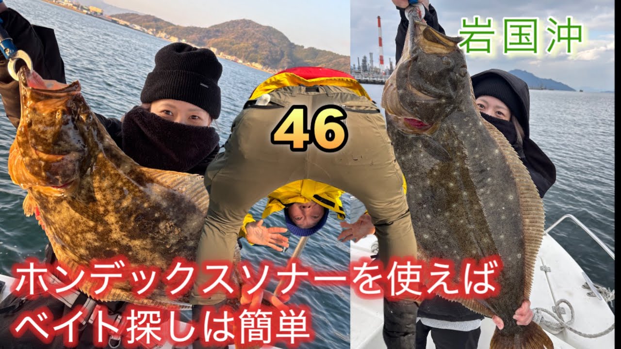 ヒラメを釣りにコノシロ泳がせに行きました