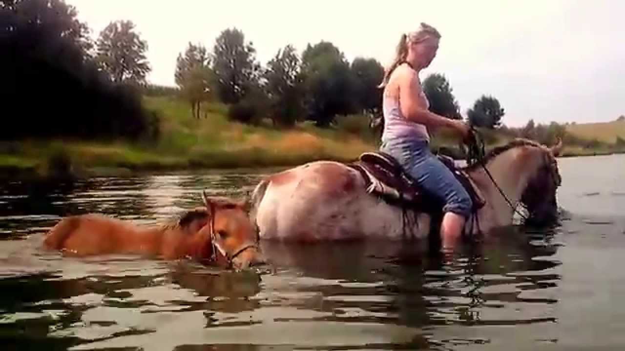 Schwimmen mit Pferden + Fohlen im See HD