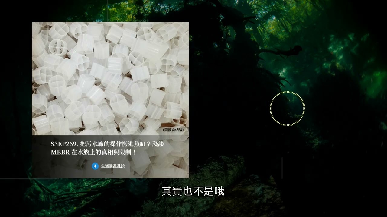 S3EP269. 把污水廠的操作搬進魚缸？MBBR 在水族上的真相與極限