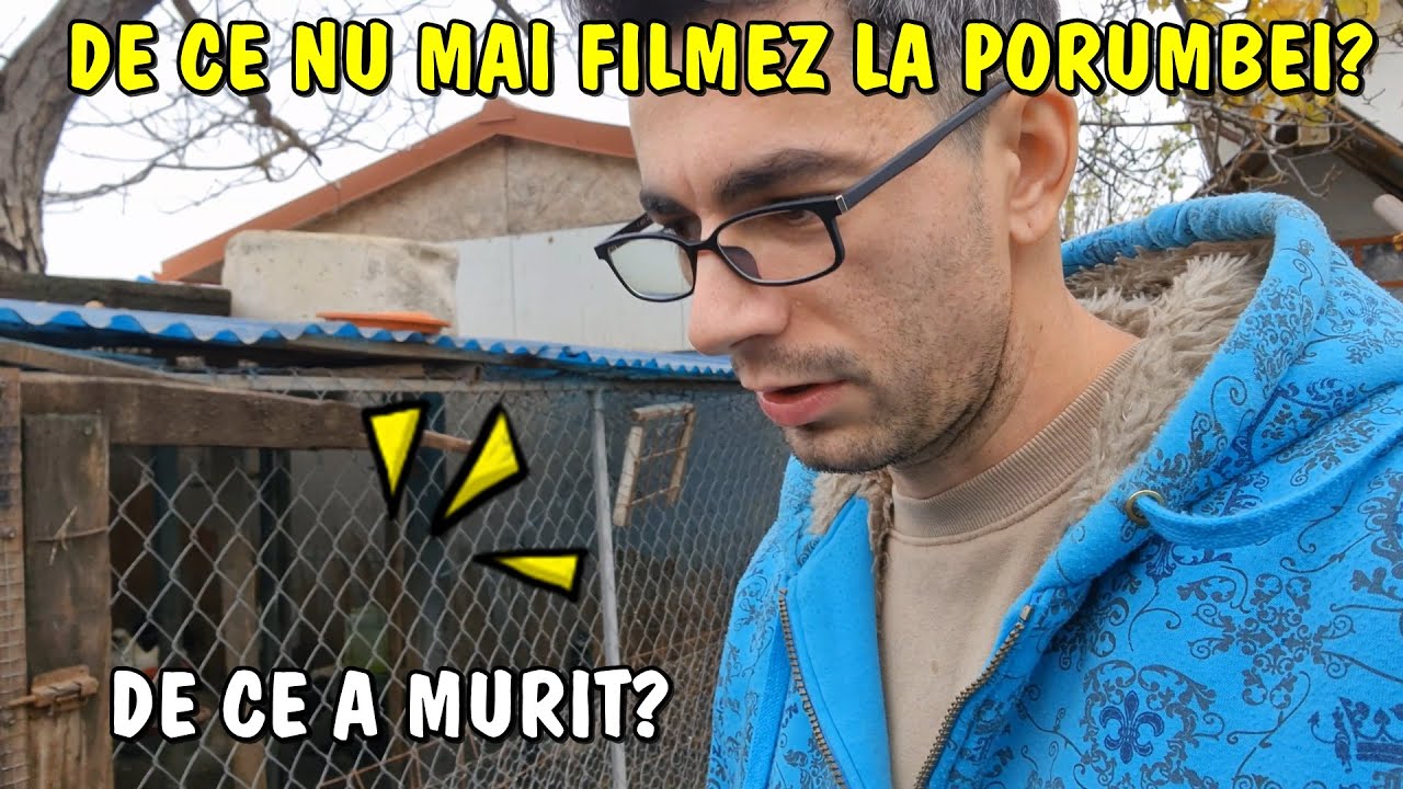 Viața la țară - Am găsit o turturică moartă - De ce nu mai filmez la porumbei?
