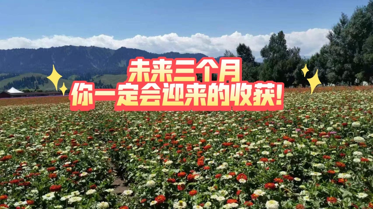 未来三个月，你一定会迎来的收获！（不限时空）